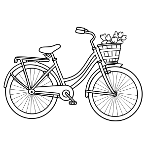 Bicicletas