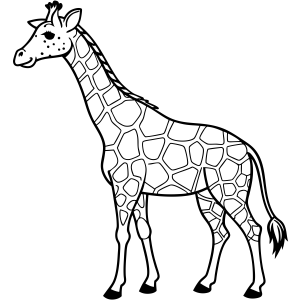 Girafas