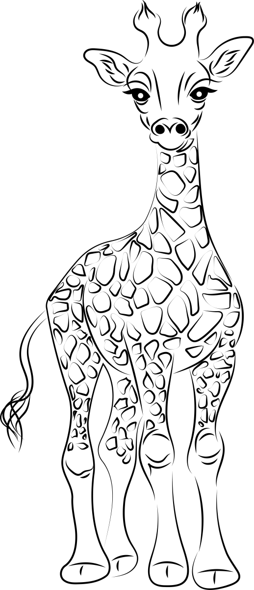 A Delicada Arte das Girafas