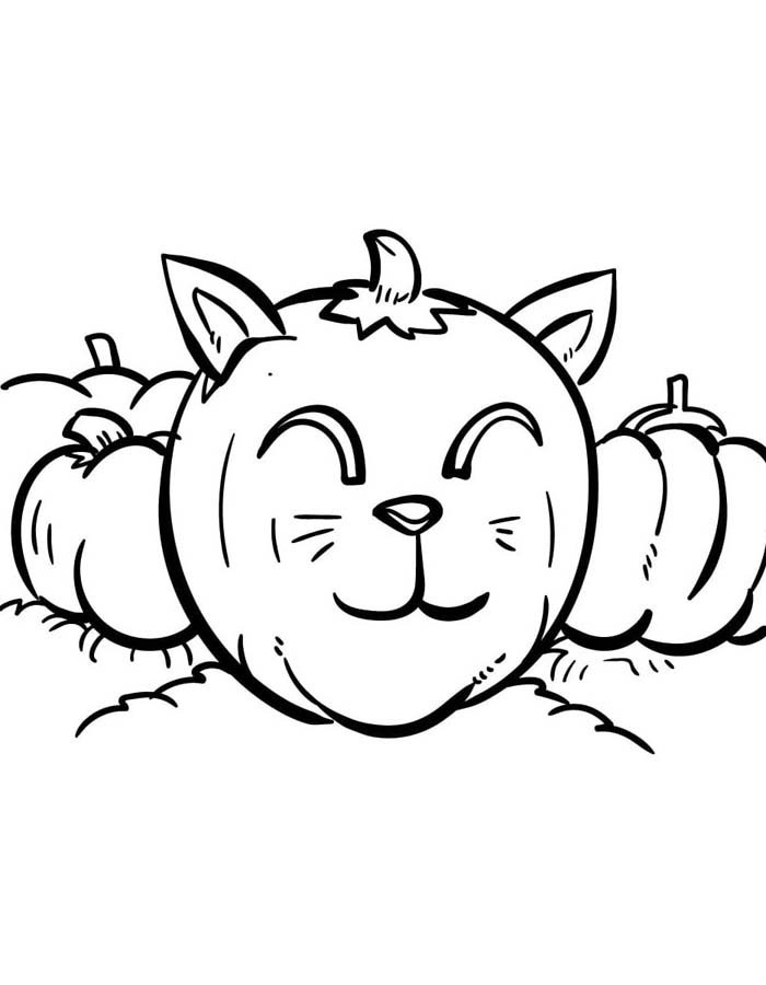 Abóboras Felinas de Halloween