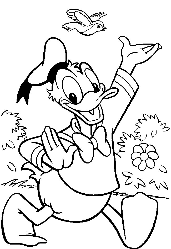 A Alegria do Pato Donald em Cena Primaveril