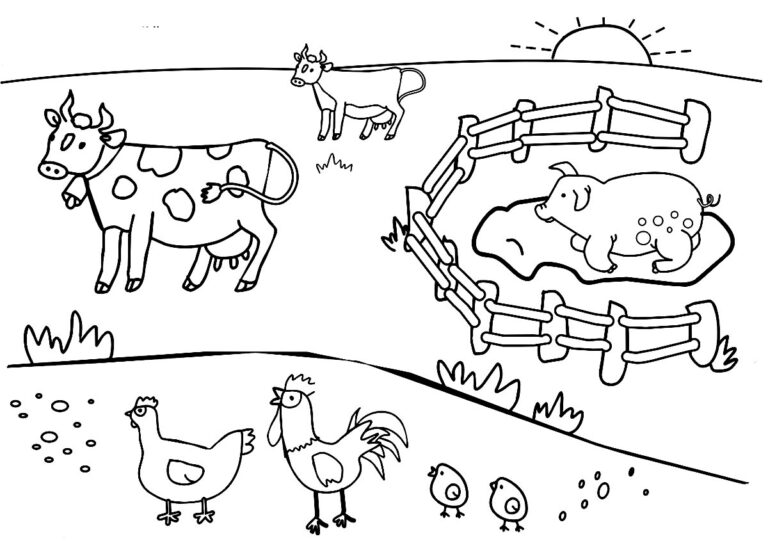 Animais da Fazenda ao Amanhecer