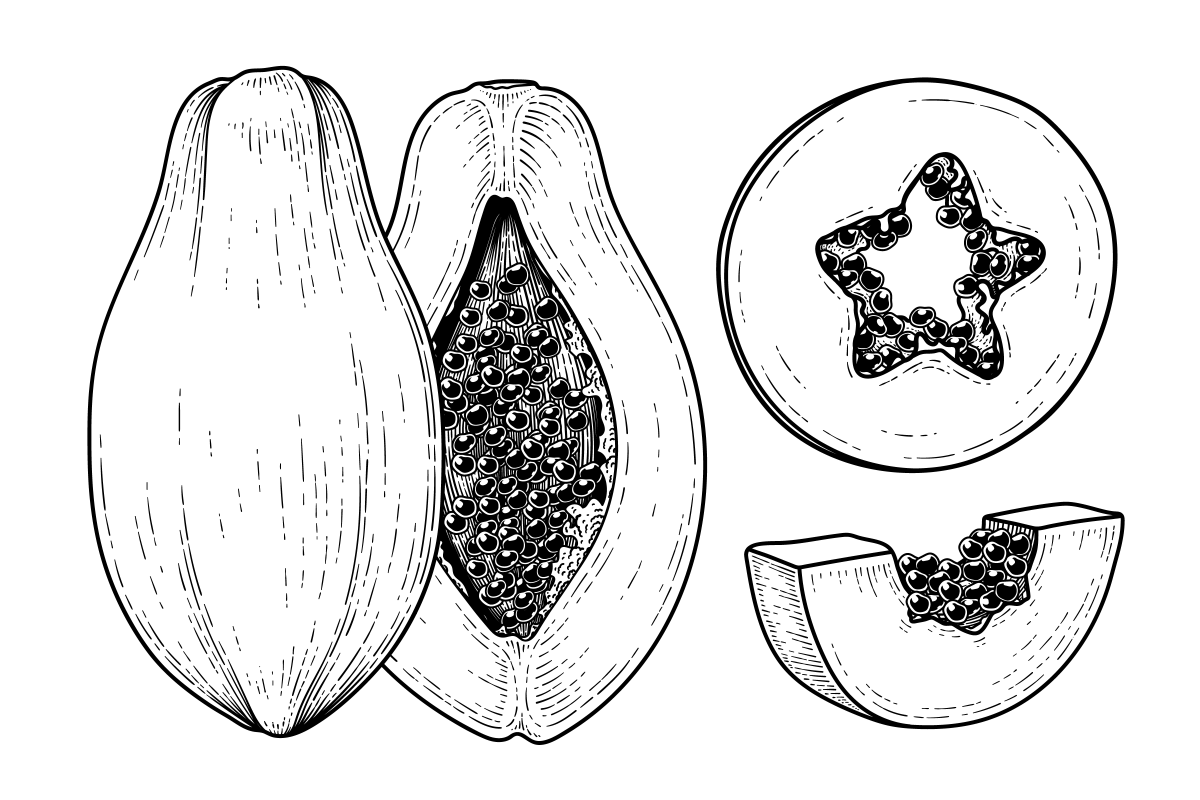 Aquarela de Papaias: Arte Vitaminada