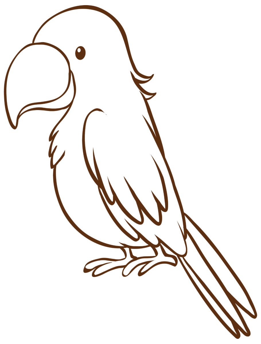 Desenho de Arara de cauda longa para imprimir e colorir