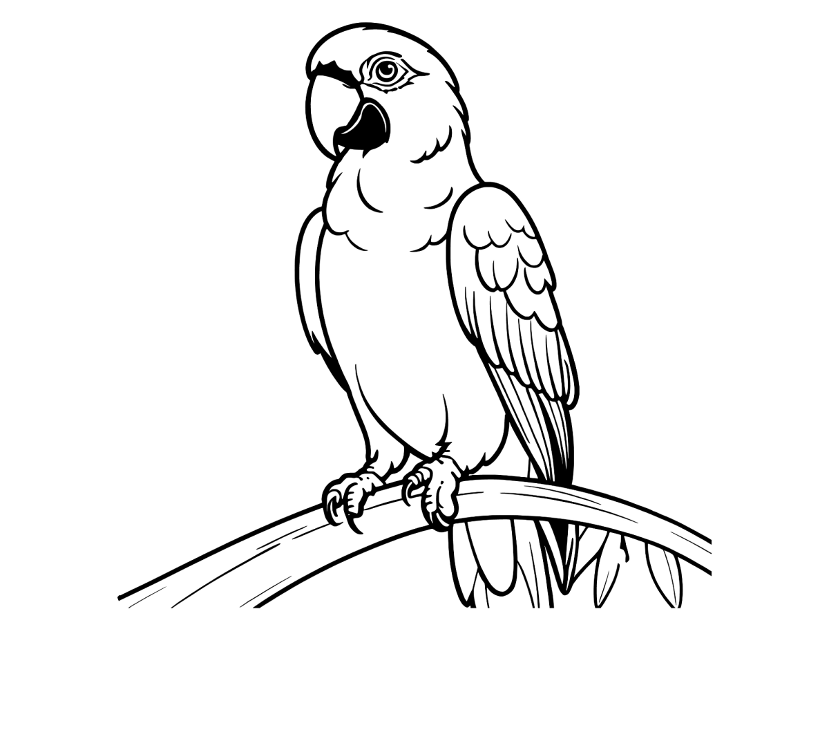 Desenho de Arara de perfil no galho para imprimir e colorir