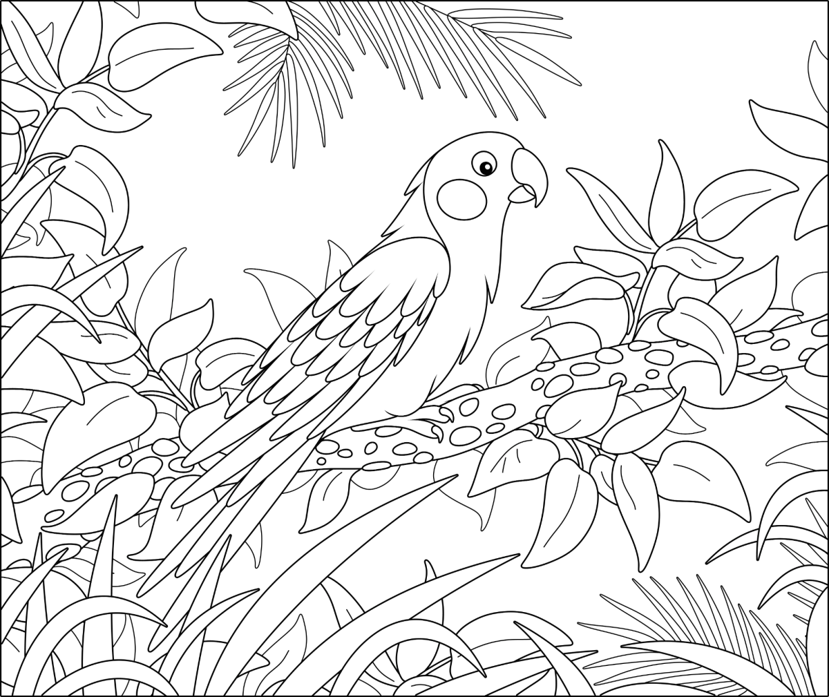 Desenho de Arara escondida na floresta para imprimir e colorir