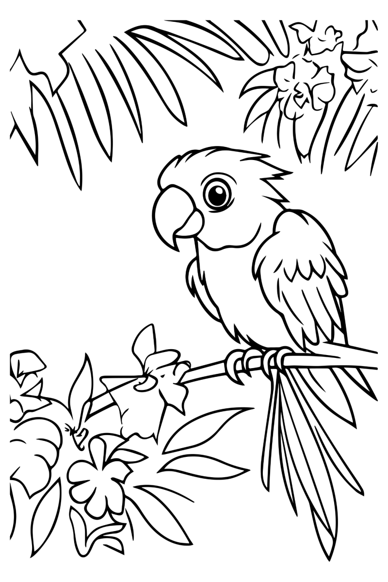 Desenho de Arara na selva tropical para imprimir e colorir