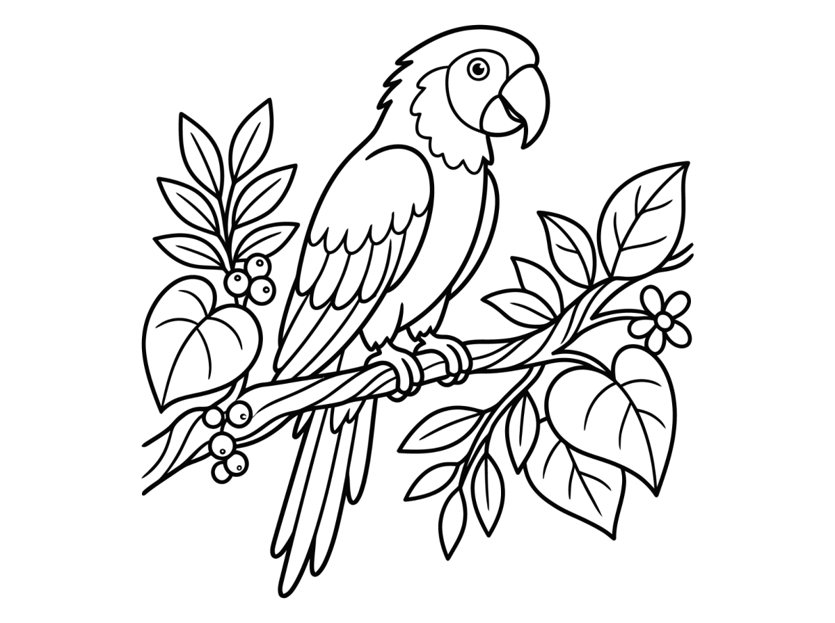 Desenho de Arara no galho com frutinhas para imprimir e colorir
