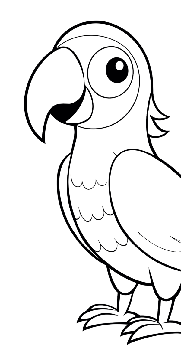 Desenho de Arara pequena de pé para imprimir e colorir
