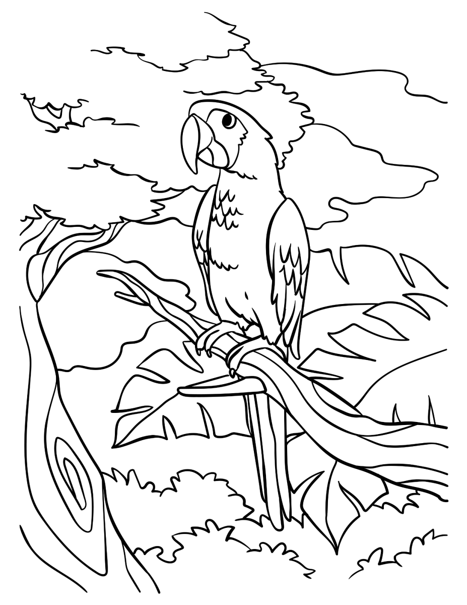 Desenho de Arara pousada no galho da árvore para imprimir e colorir