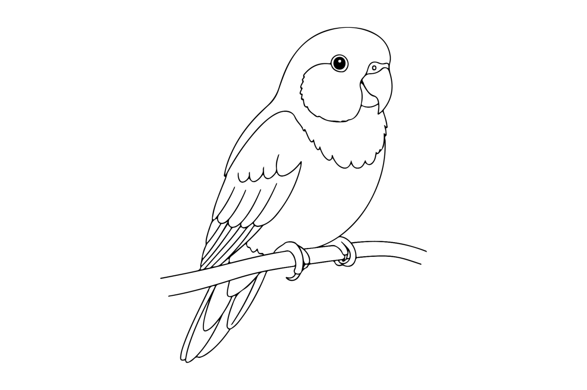 Desenho de Arara pousada no galho fino para imprimir e colorir