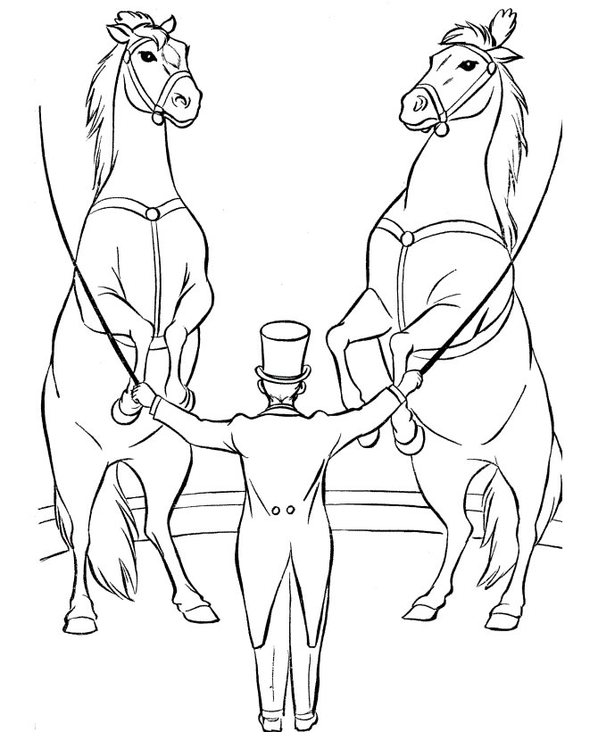Arte Equestre no Picadeiro