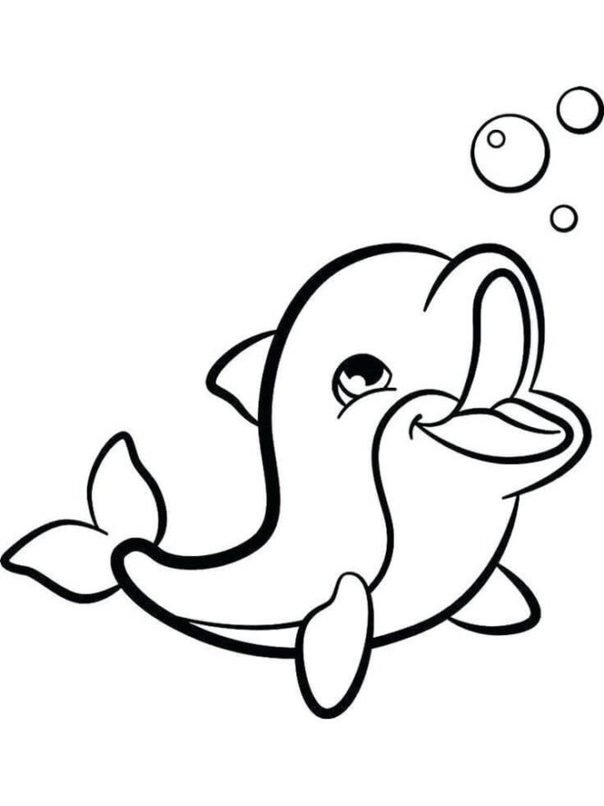Aventura Aquática com Golfinho Alegre