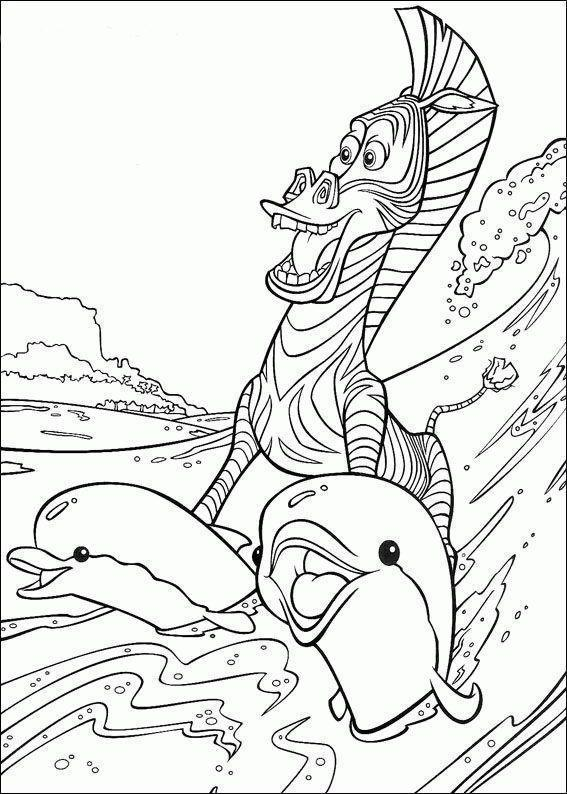 Aventura Aquática com a Zebra Divertida