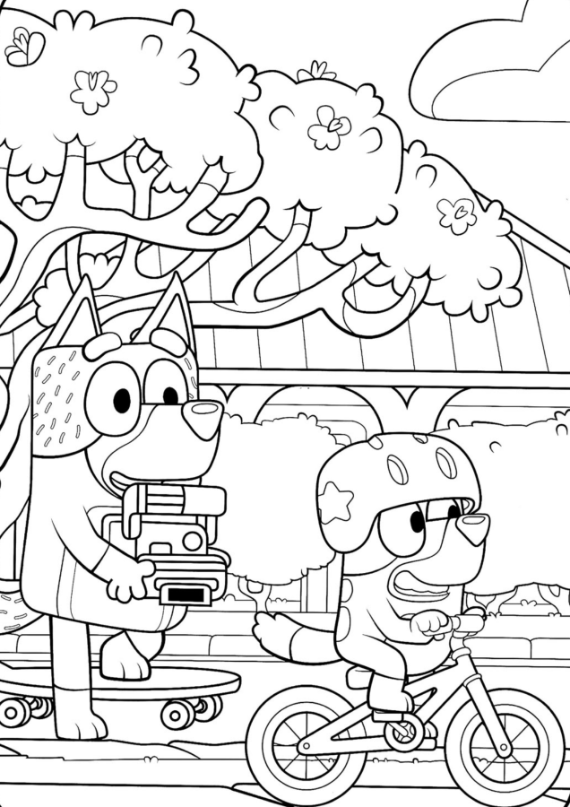 Aventura com Bluey e Bingo