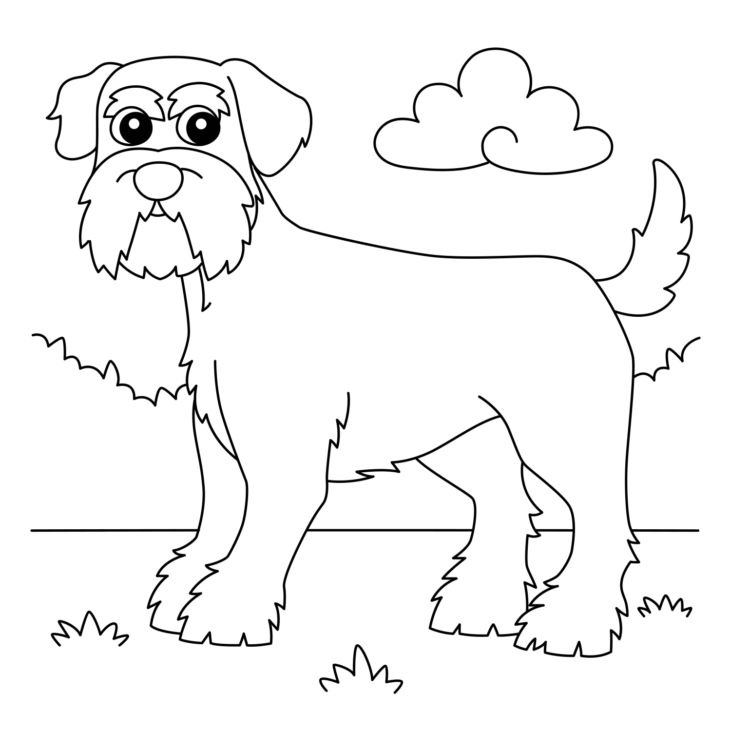 Aventura Canina no Campo
