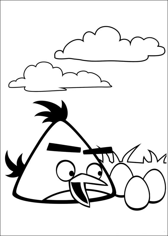 Aventura Colorida com Angry Birds