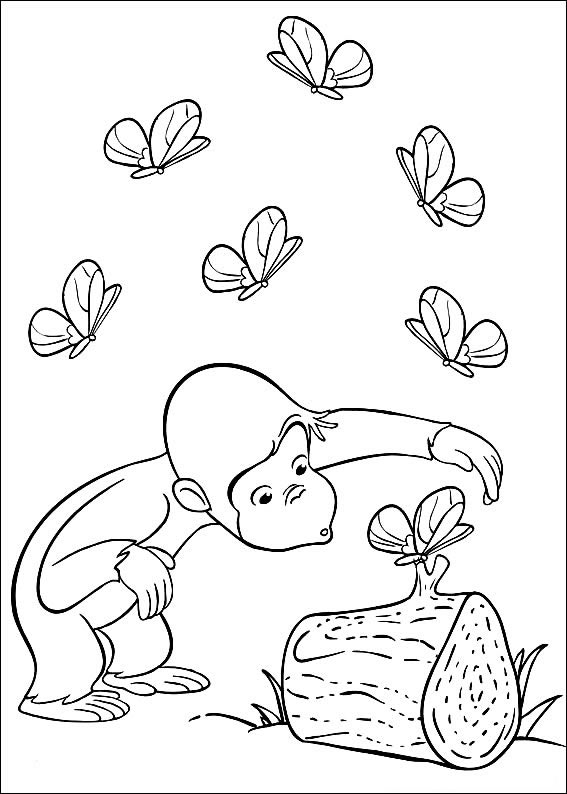 Aventura Colorida com George, o Curioso