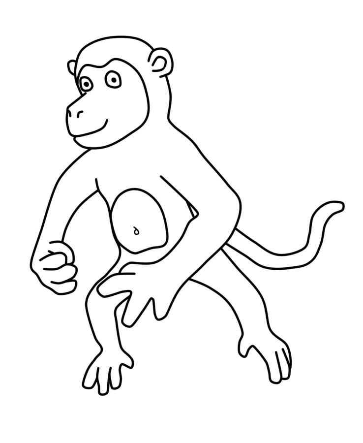 Aventura Colorida no Mundo dos Macacos