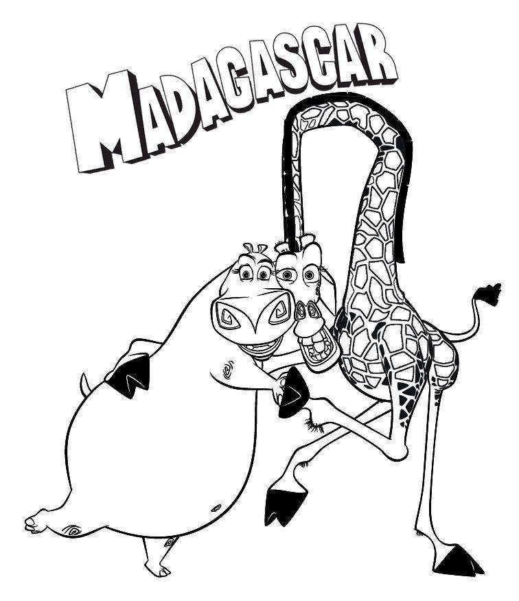 Aventura Colorida em Madagascar com Melman e Gloria