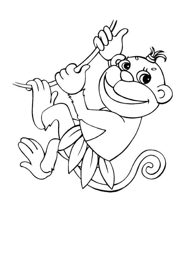 Aventura Colorida no Mundo dos Macacos