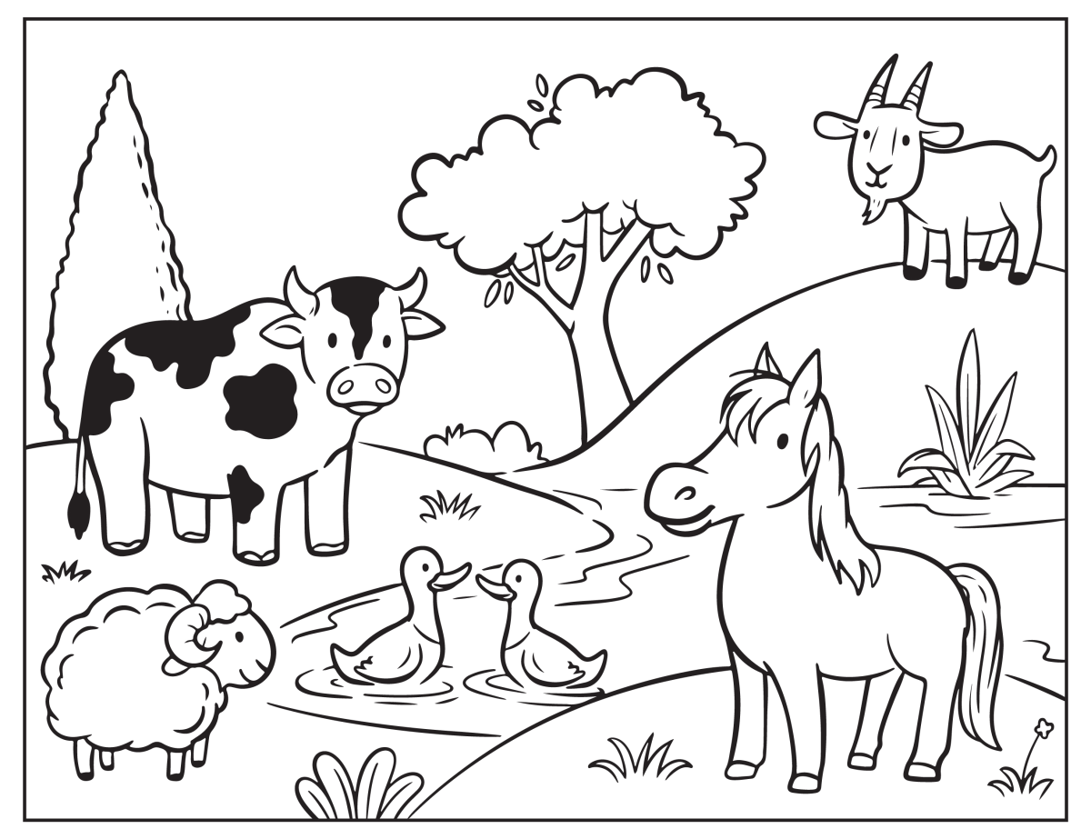 Aventura Colorida na Fazenda