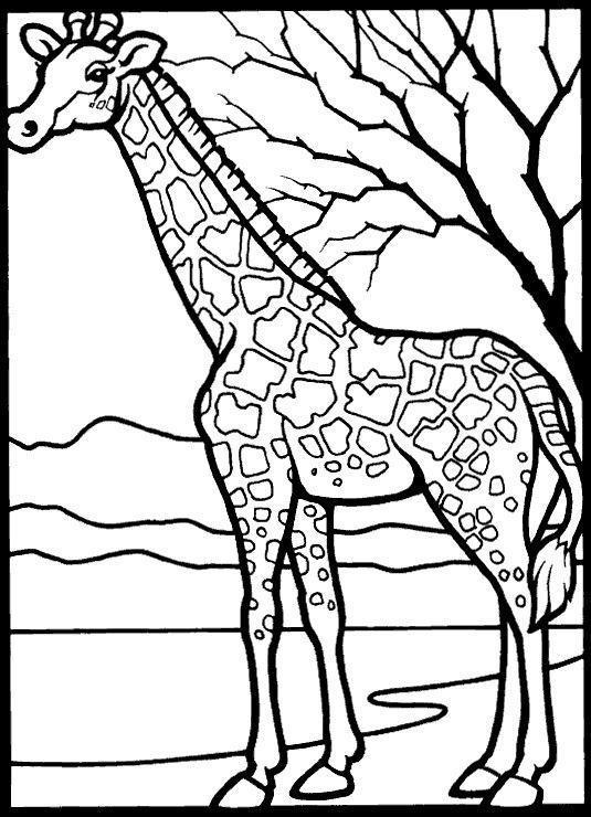 Aventura de Colorir com Girafas