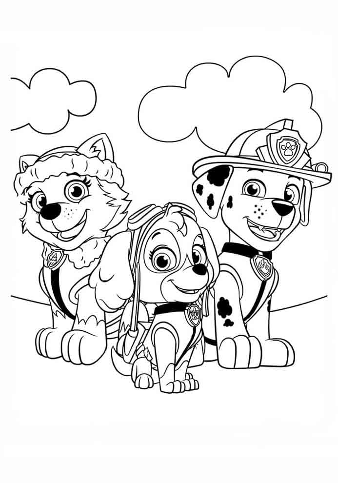 Aventura com a Patrulha Canina