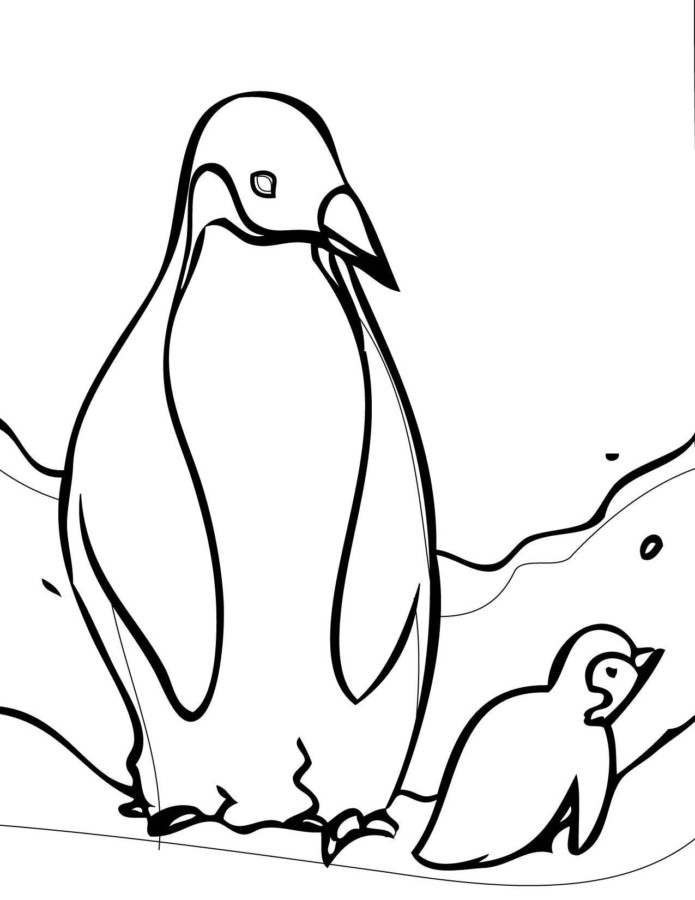 Aventura Congelante de Pinguins