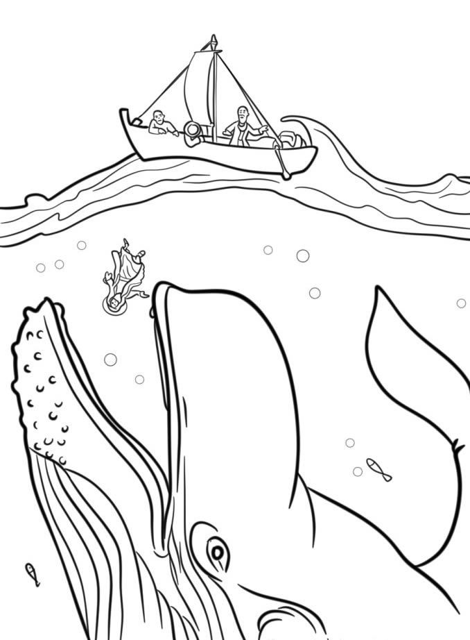 Aventura de Jonas: O Encontro com a Baleia