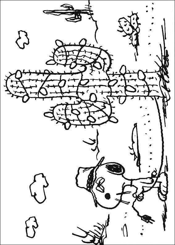 Aventura no Deserto com Snoopy