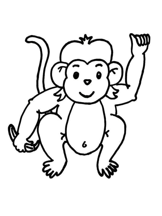 Aventura do Macaco Brincalhão