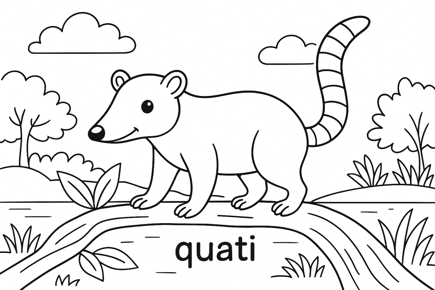 Aventura do Quati na Floresta