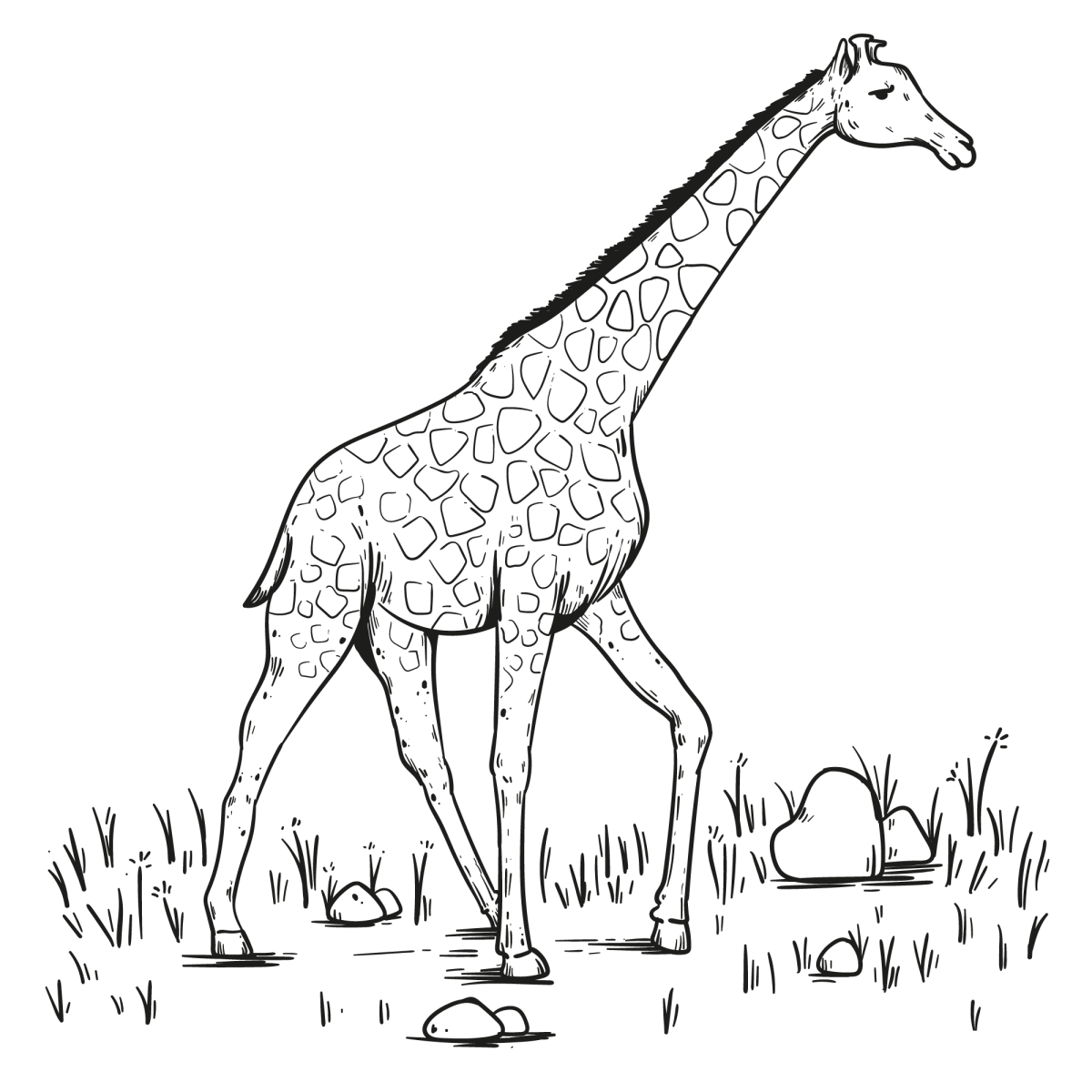 Aventura com a Elegante Girafa