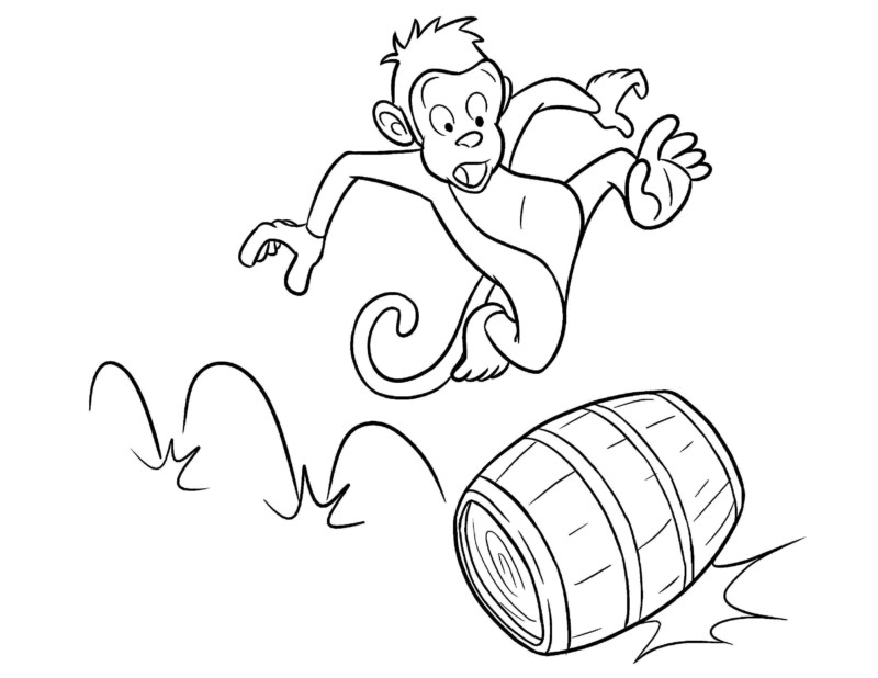A Aventura do Macaco Saltitante