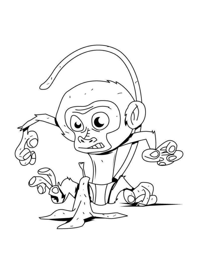 Aventura de Macaquinho Desajeitado
