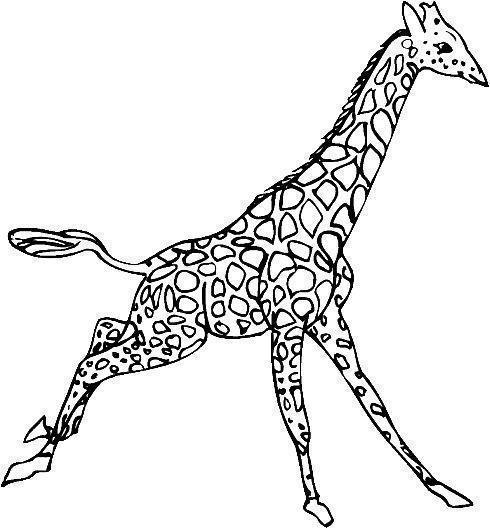Aventura das Manchas: A Corrida da Girafa