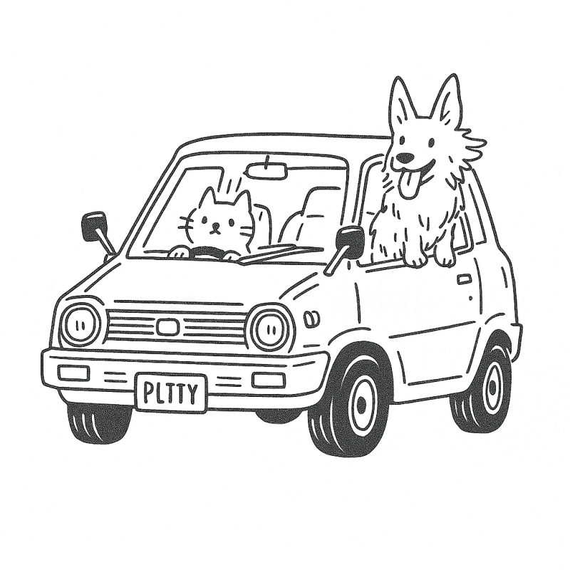 Aventura no Carro com Gatinho e Cãozinho