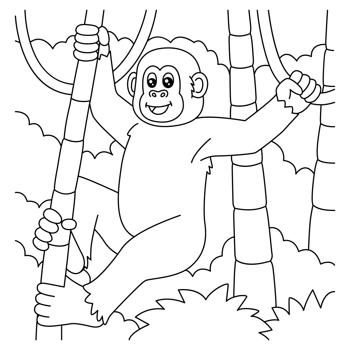 Aventura na Selva dos Macacos