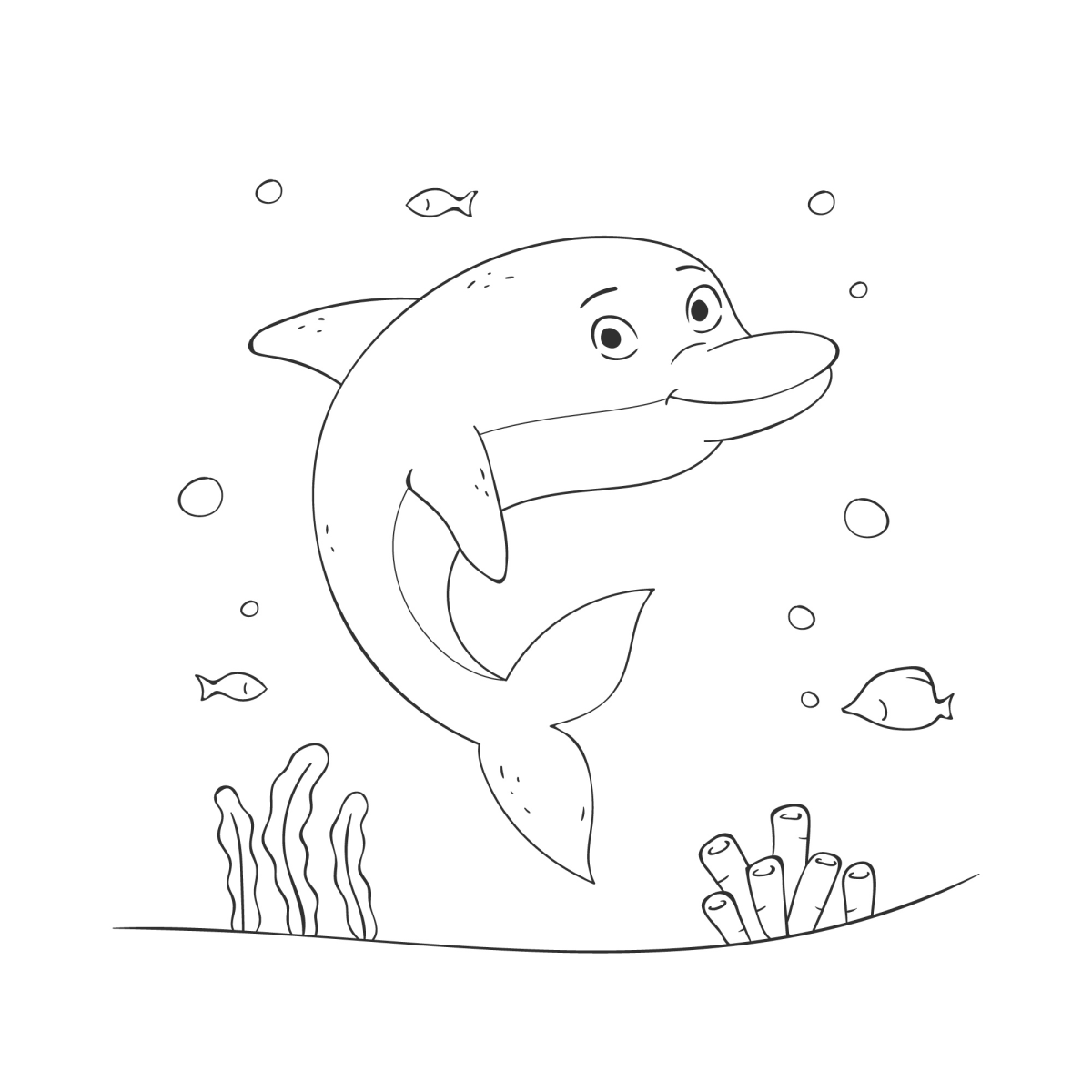 Aventura Subaquática com Golfinhos