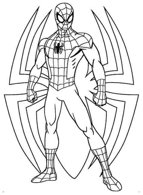Aventura Vibrante com o Homem-Aranha