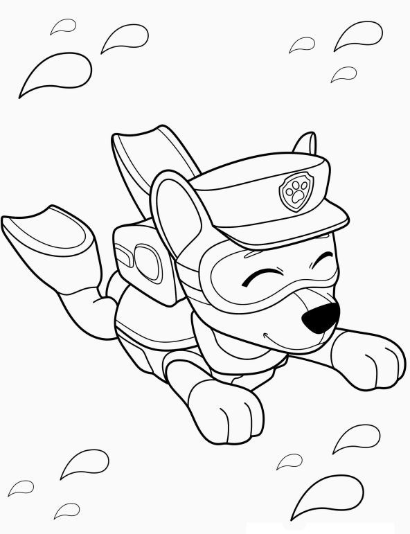 Aventuras Aquáticas com a Patrulha Canina