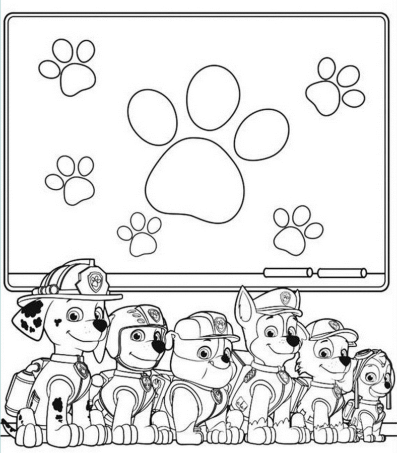 Aventuras Caninas com a Patrulha Pata