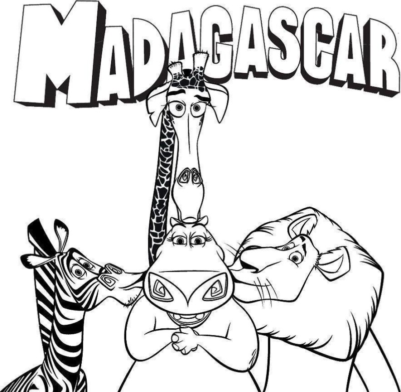 Aventuras Coloridas com Amigos de Madagascar