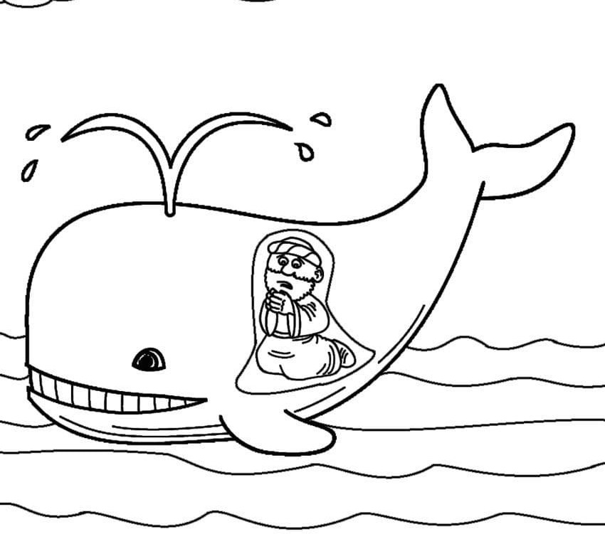 Aventuras de Jonas na Baleia Gigante