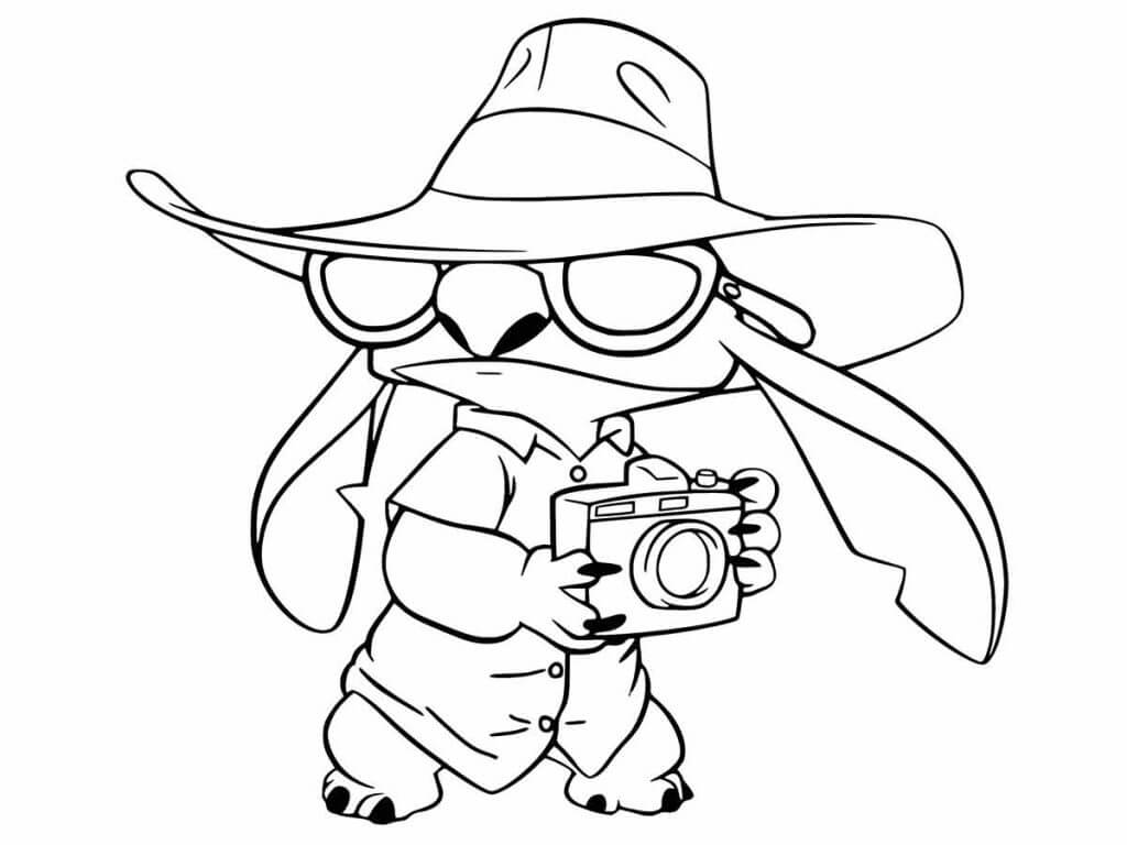 Aventuras de Stitch como Fotógrafo