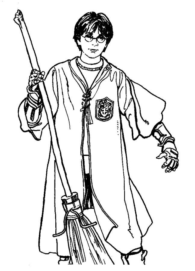 Aventuras em Quadribol com o Jovem Bruxo
