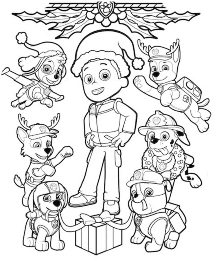 Aventuras Festivas com a Patrulha Canina
