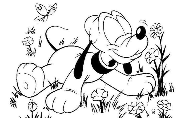 Aventuras Floridas com o Amigável Pluto
