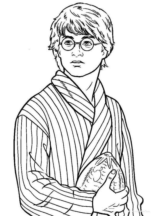 Aventuras de Harry com o Ovo Dourado